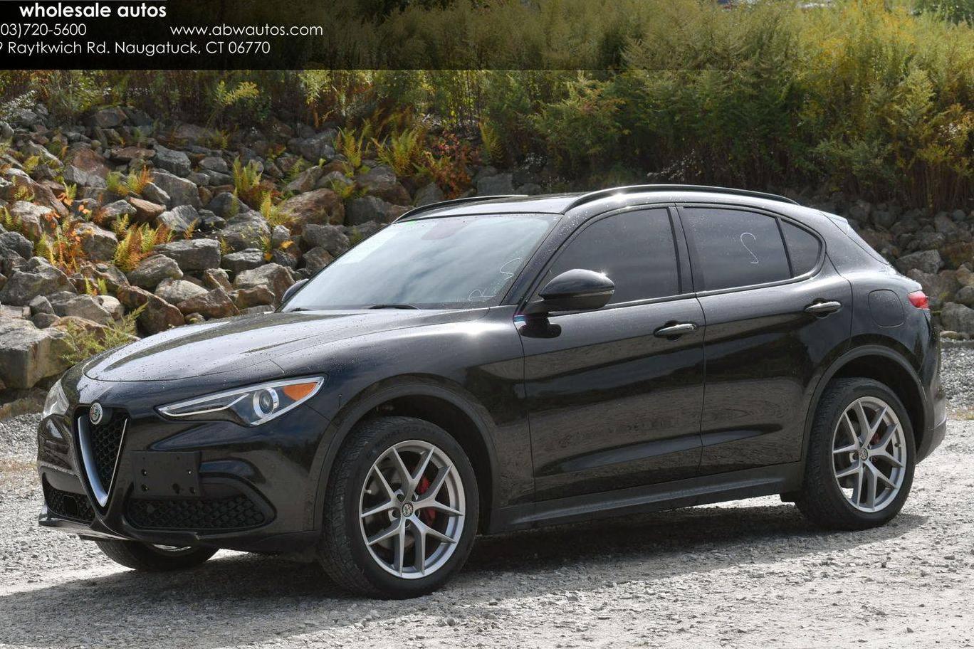 ALFA ROMEO STELVIO 2018 ZASFAKPN6J7B95588 image